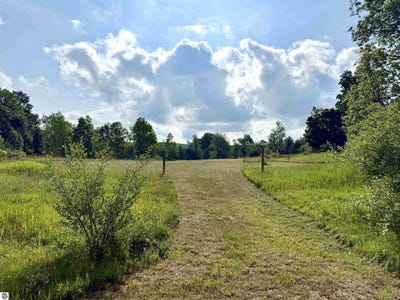 /international/us/00-n-25-road-mesick-mi-110100851343/