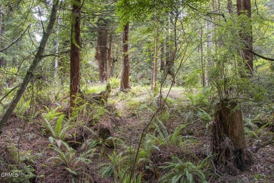 /international/us/32100-forest-lane-fort-bragg-ca-110105329644/