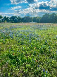 /international/us/kirkland-hill-road-axtell-tx-110119561752/
