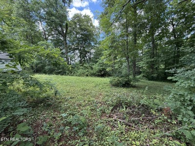 /international/us/shoreline-circle-lafollette-tn-110108800101/