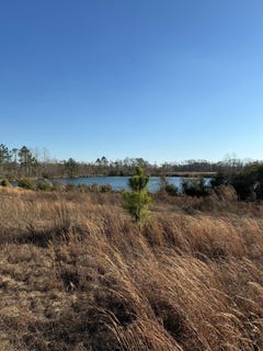 /international/us/green-oak-rd-lyons-ga-110107241551/