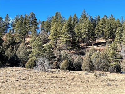 /international/us/270-cr-352-dulce-nm-110097528682/