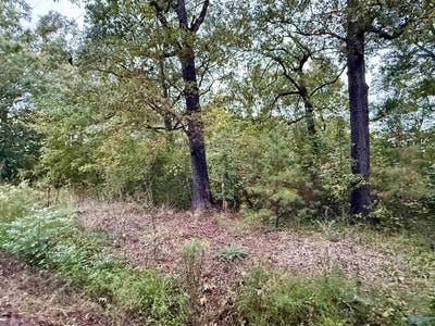 /international/us/306-brandon-street-gadsden-al-110120150348/