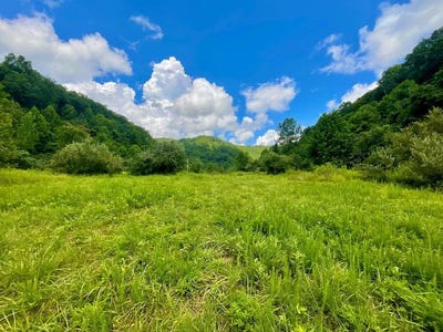 /international/us/0-left-fork-marshalls-branch-mcroberts-ky-110101022221/