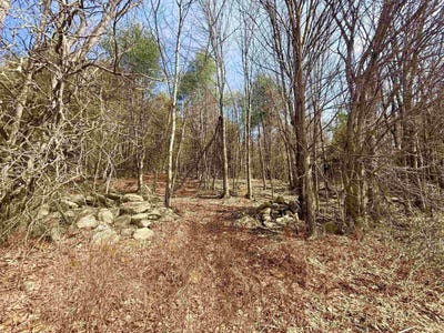 /international/us/green-mountain-turnpike-lot-5-chester-vt-110106771538/