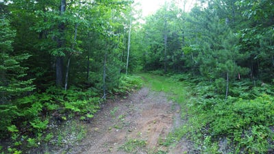 /international/us/off-brown-deer-marquette-mi-110100614371/
