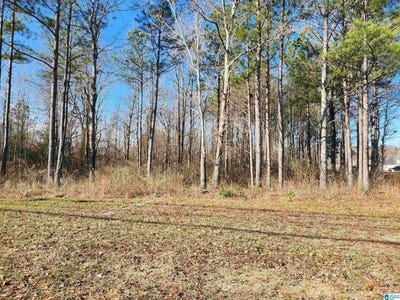 /international/us/bonnieville-drive-lot-1-calera-al-110108501341/