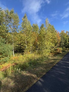 /international/us/pine-grove-lane-lot-13-etna-me-110120084828/