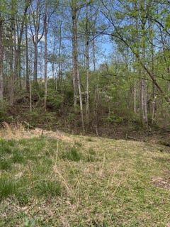 /international/us/332-terrace-rd-boones-mill-va-110107382599/