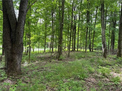 /international/us/thornton-road-charlotte-ny-110099910350/