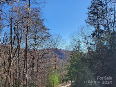 /international/us/336-falling-leaves-lane-hendersonville-nc-110095824259/?lang=zh-tw