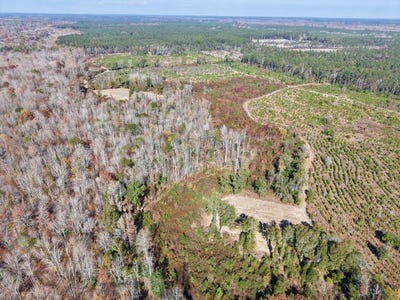 /international/us/altman-road-hampton-sc-110109180310/