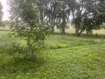 /international/us/817-colorado-street-nw-lonsdale-mn-110108884869/