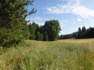 /international/us/lot-1-sw-moose-ridge-way-loon-lake-wa-110101236875/?lang=zh-tw
