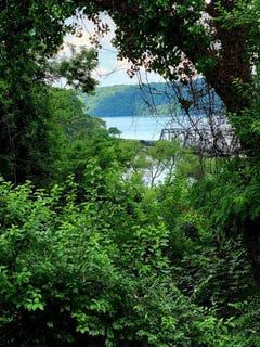 /international/us/2465-palisade-avenue-bronx-ny-110101179197/