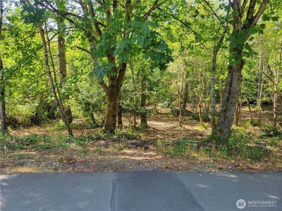 /international/us/900-east-wilson-way-grapeview-wa-110099394131/