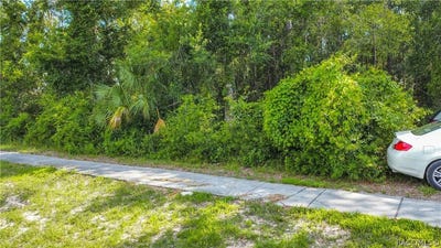 /international/us/4176-w-gulf-to-lake-highway-lecanto-fl-110108640594/