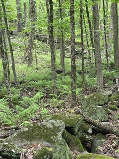 /international/us/0-south-royalston-rd-royalston-ma-110099771711/
