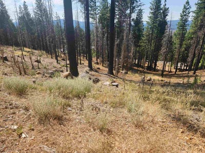 /international/us/512-eagle-crest-drive-lot-23-lake-almanor-west-ca-110107398823/