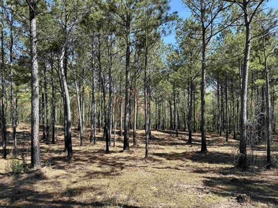 /international/us/old-camp-ln-lot-6-tbd-salters-sc-110105313429/