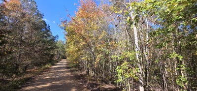 /international/us/0-county-rd-3022-double-springs-al-110103519389/