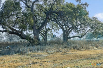 /international/us/620-nw-river-road-lot-2-martindale-tx-110105385138/