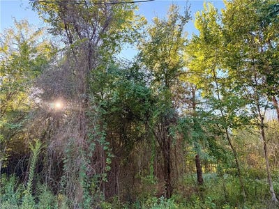 /international/us/tbd-tract-1-bear-creek-fort-smith-ar-110120417324/
