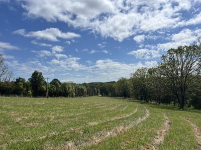 /international/us/county-road-350-drury-mo-110107511982/