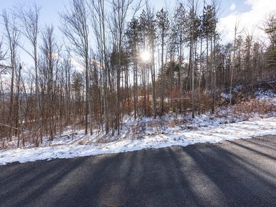 /international/us/lot-29-hemlock-hills-rd-towanda-pa-110090761137/