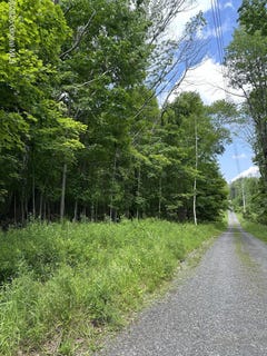 /international/us/l11-c-buel-road-conesville-ny-110100348045/?lang=zh-cn