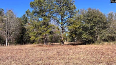 /international/us/veterans-road-salley-sc-110106026558/