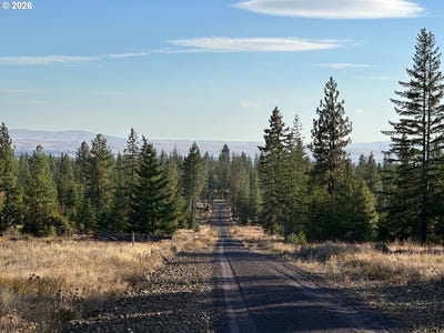 /international/us/skylar-dr-goldendale-wa-110105708901/