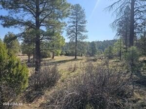 /international/us/3326-black-canyon-road-heber-az-110100853089/