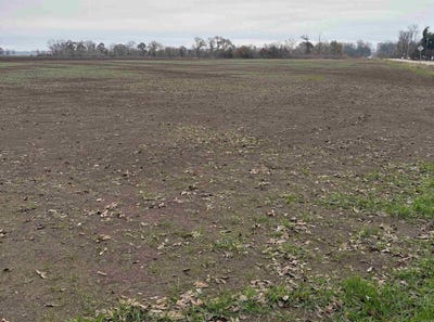 /international/us/n-144-highway-lot-1-390-lake-village-ar-110106621479/