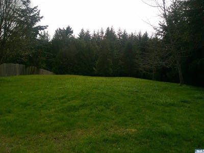 /international/us/rhododendron-drive-lot-5-sequim-wa-110107006160/