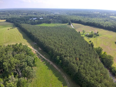 /international/us/0-county-road-93-anderson-al-110100088432/?lang=pt