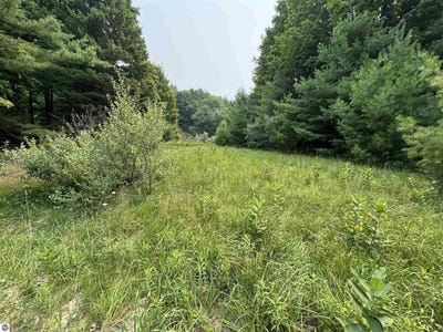 /international/us/lot-4-e-bellinger-road-cedar-mi-110101482237/?lang=pt