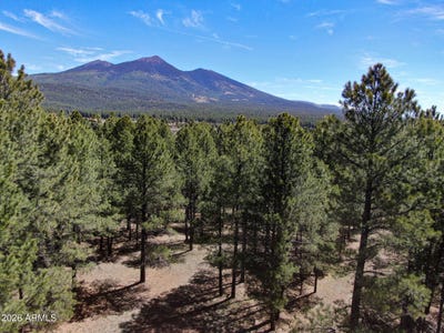 /international/us/8380-vista-peak-way-flagstaff-az-110108427554/