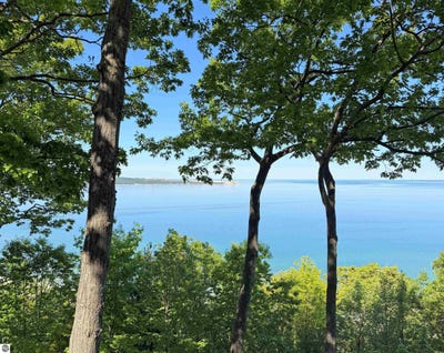 /international/us/9-ridge-top-glen-arbor-mi-110108507305/