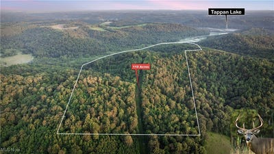 /international/us/36900-lower-clearfork-road-scio-oh-110101215858/