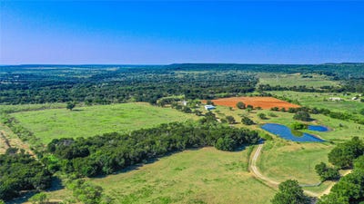/international/us/450-beaver-creek-lane-jacksboro-tx-110102308175/