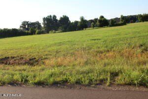 /international/us/5-chapel-hill-subdivision-lot-5-holly-springs-ms-110101938262/