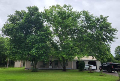 /international/us/128-reed-wade-road-batesville-ar-110100245271/