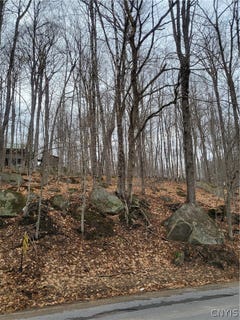/international/us/hollywood-road-old-forge-ny-110107165705/