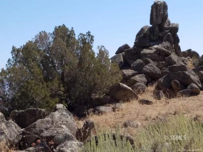 /international/us/big-springs-caliente-ca-110091108533/