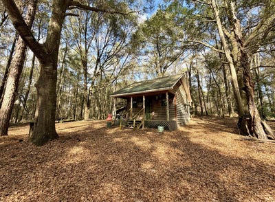 /international/us/0-county-road-72-ariton-al-110104583213/