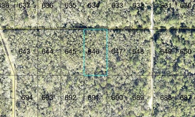 /international/us/646-gale-street-hastings-fl-110120152926/