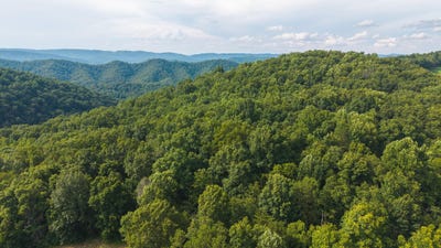 /international/us/gravely-valley-road-eidson-tn-110100995722/?lang=zh-tw
