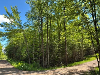 /international/us/off-boxberger-dr-lot-4-presque-isle-wi-110108820124/