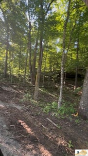 /international/us/wilderness-road-lot-133-135-mammoth-cave-ky-110108237055/